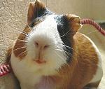     
: index013.jpg
: 78
:	35.6 
ID:	8045383