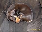     
: P1020149.JPG
: 4
:	135.5 
ID:	8048081