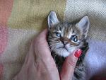     
: IMG_7747.jpg
: 29
:	129.6 
ID:	8049936
