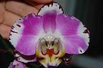     
: DSC_1982.jpg
: 7
:	86.2 
ID:	8051012