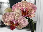     
: DSCN2672.jpg
: 6
:	157.2 
ID:	8051017