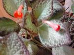     
: 2014-01-22 22.29.38.jpg
: 19
:	124.0 
ID:	8051238