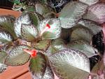     
: 2014-01-22 22.29.18.jpg
: 19
:	144.7 
ID:	8051239
