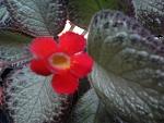     
: 2014-01-23 09.21.13.jpg
: 13
:	107.2 
ID:	8051240