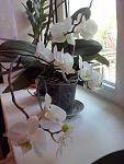     
: CAM00267.jpg
: 7
:	74.1 
ID:	8052201
