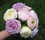     
:  2014 023.jpg
: 5
:	133.4 
ID:	8053048