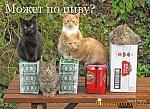     
: beer_06022008.jpg
: 9
:	102.7 
ID:	805465