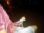     
: QKmCUGXzNuw.jpg
: 20
:	41.9 
ID:	8056152