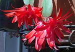     
: 20042014130_1.jpg
: 41
:	115.0 
ID:	8056515