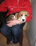     
: IMG_5749.jpg
: 26
:	80.9 
ID:	8059763