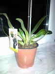    
: IMG_20140422_231741.jpg
: 22
:	75.9 
ID:	8062927