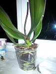     
: IMG_20140422_231751.jpg
: 15
:	71.9 
ID:	8062929