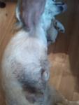     
: IMG_20140423_183412.jpg
: 5
:	47.7 
ID:	8063522