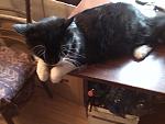     
: IMG_20140423_183232.jpg
: 5
:	105.4 
ID:	8063523