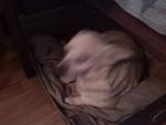     
: IMG_20140423_183257.jpg
: 6
:	75.0 
ID:	8063525