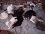     
: IMG_20140423_183154.jpg
: 4
:	106.1 
ID:	8063526