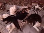     
: IMG_20140423_183203.jpg
: 7
:	103.8 
ID:	8063527