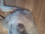     
: IMG_20140423_183406.jpg
: 7
:	81.0 
ID:	8063529