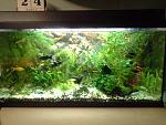     
: 20140425_204400-751704345.jpg
: 15
:	188.8 
ID:	8071990