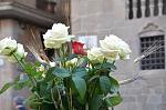     
: SIR_2974.jpg
: 16
:	110.2 
ID:	8072979