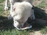     
: IMG_6325.jpg
: 10
:	206.7 
ID:	8074060