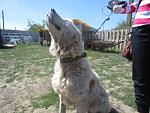     
: IMG_6320.jpg
: 31
:	156.5 
ID:	8074126