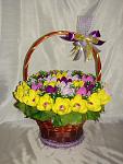     
: DSC06294.jpg
: 48
:	100.3 
ID:	8075168