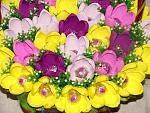     
: DSC06300.jpg
: 26
:	230.7 
ID:	8075185
