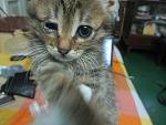     
: IMG_7852.jpg
: 3
:	105.2 
ID:	8075606