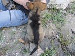     
: IMG_7904.jpg
: 138
:	259.6 
ID:	8076201