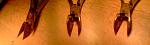     
: P250414_08.59.jpg
: 10
:	49.1 
ID:	8077237