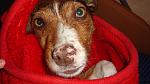     
: DSC09736.jpg
: 3
:	128.8 
ID:	8077497