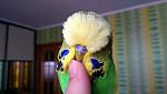     
: IMAG0171_BURST001.jpg
: 7
:	65.8 
ID:	8077655