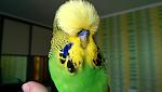     
: IMAG0175.jpg
: 13
:	72.7 
ID:	8077656