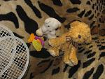     
: IMG_9908.jpg
: 11
:	176.2 
ID:	8077973