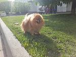     
: 20140427_164121.jpg
: 29
:	243.0 
ID:	8078643