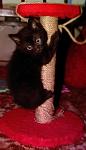     
: GFRANQ_VITALJNATASHKA_PAN_61539400_.jpg
: 18
:	56.4 
ID:	8081750
