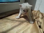     
: BlPmFbCKeIk.jpg
: 21
:	59.8 
ID:	8084104
