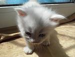     
: LxsTmPDCQ8o.jpg
: 16
:	48.5 
ID:	8084108