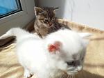     
: JbBJUBAtS9o.jpg
: 17
:	41.9 
ID:	8084111