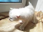     
: jpYi8mPCewY.jpg
: 26
:	52.3 
ID:	8084113