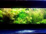     
: IMG_08-04-2014_132925.jpg
: 31
:	168.5 
ID:	8088559