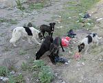     
: IMG_7897.jpg
: 11
:	247.7 
ID:	8089778