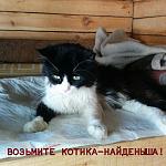     
: IMG_20140430_170805.jpg
: 9
:	122.5 
ID:	8095348
