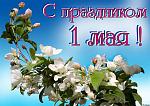     
: 28933677.jpg
: 16
:	140.5 
ID:	8095602