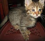     
: IMG_7932.jpg
: 8
:	150.4 
ID:	8096942