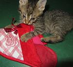     
: IMG_7941.jpg
: 10
:	166.7 
ID:	8096944