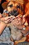     
: DSC_0381.jpg
: 22
:	96.0 
ID:	8098981