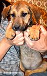     
: DSC_0382.jpg
: 17
:	113.8 
ID:	8098982