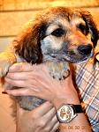     
: DSC_0395.jpg
: 11
:	104.2 
ID:	8098985